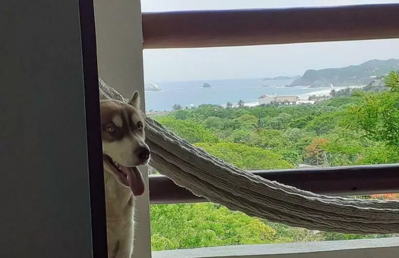 Retkeilymaja La Aldea Zipolite