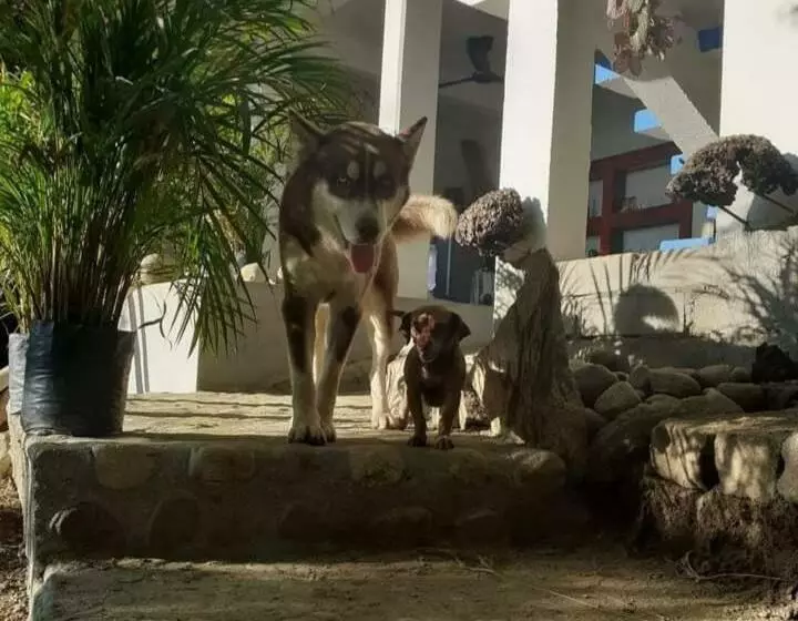 Retkeilymaja La Aldea Zipolite