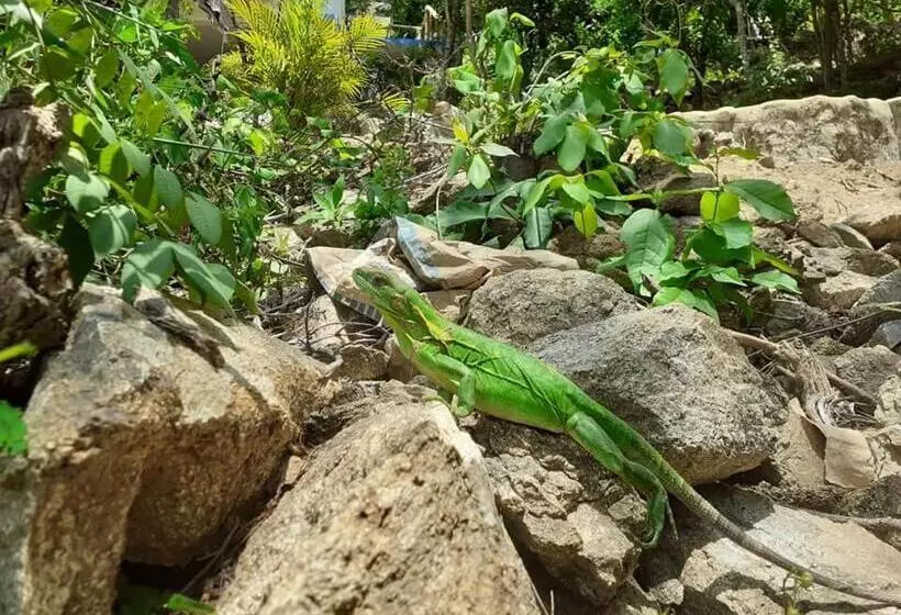 Retkeilymaja La Aldea Zipolite