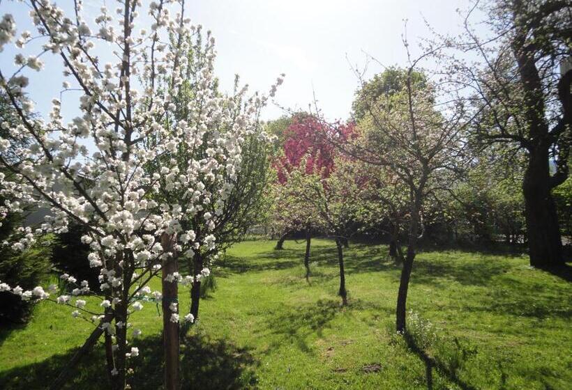 مبيت وإفطار Zeilinger Villa