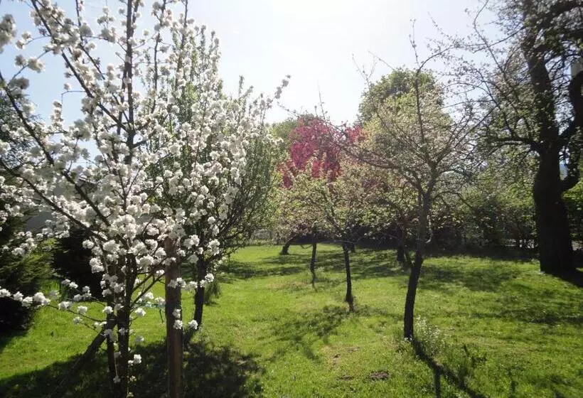 Aamiaismajoitus (B&B) Zeilinger Villa