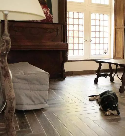 Hostel Du Lapin Blanc