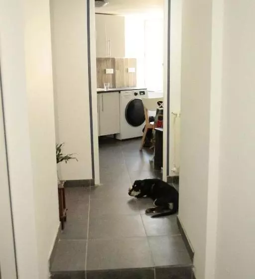 Hostel Du Lapin Blanc