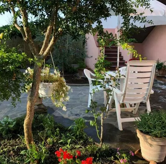 Majatalo Affittacamere Da Zia Michelina