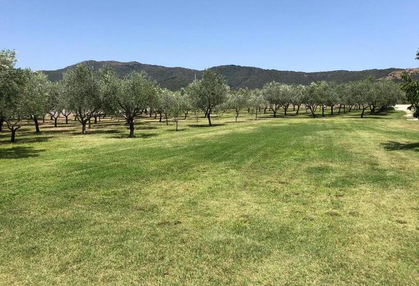 פנסיון Borgo Albador Rooms