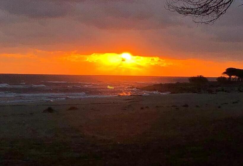 פנסיון Borgo Albador Rooms