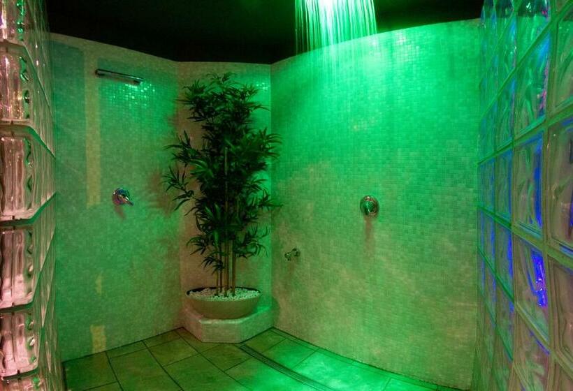 پانسیون New Emotion Room