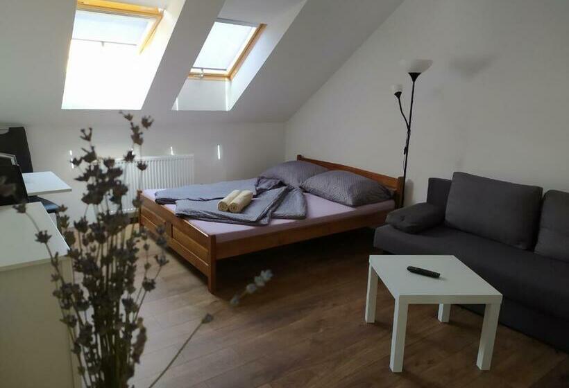 ペンション Penzion Levandule A Palava