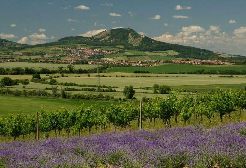 ペンション Penzion Levandule A Palava