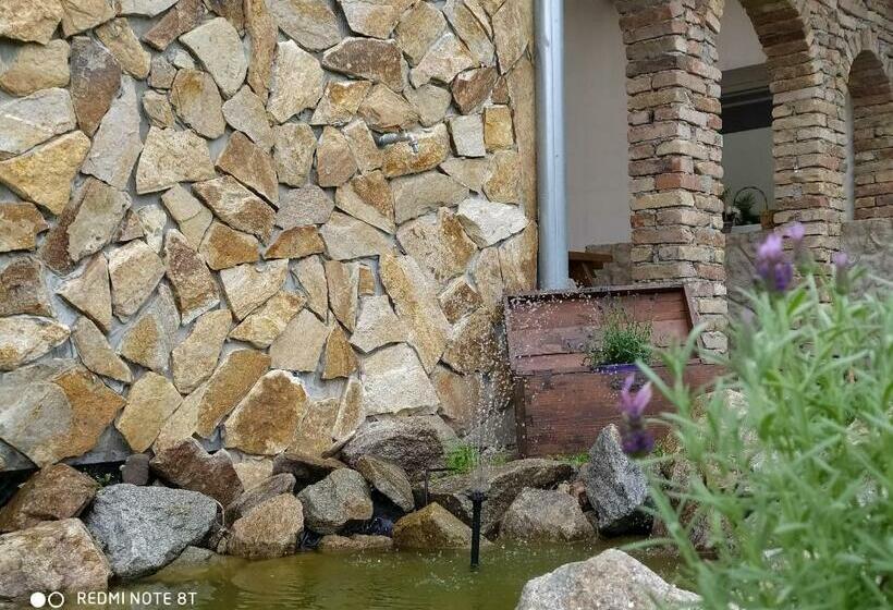 ペンション Penzion Levandule A Palava