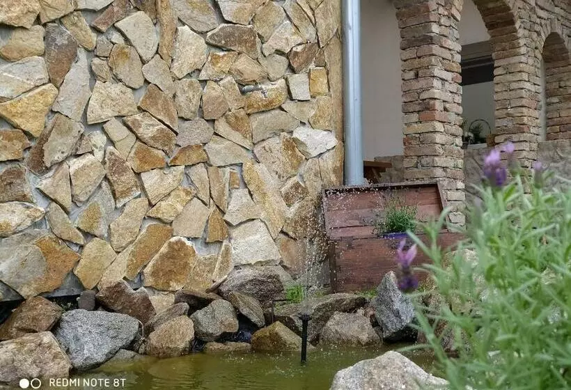 ペンション Penzion Levandule A Palava