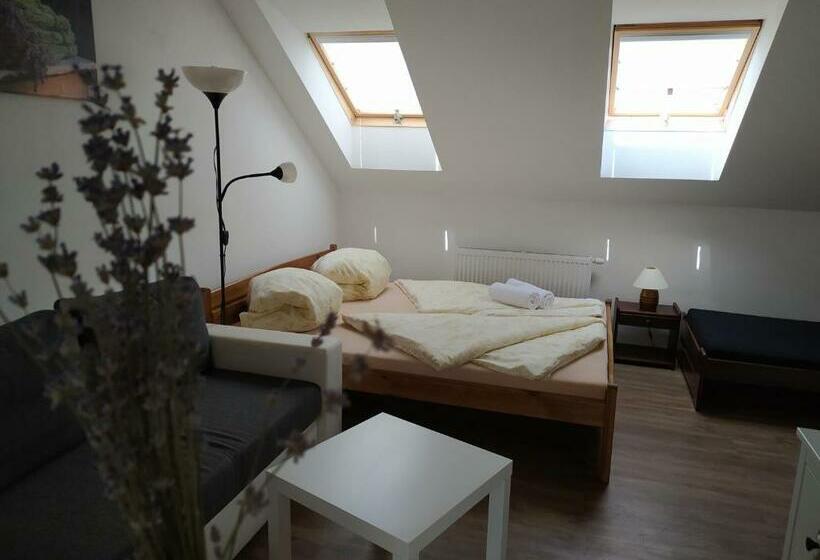 ペンション Penzion Levandule A Palava