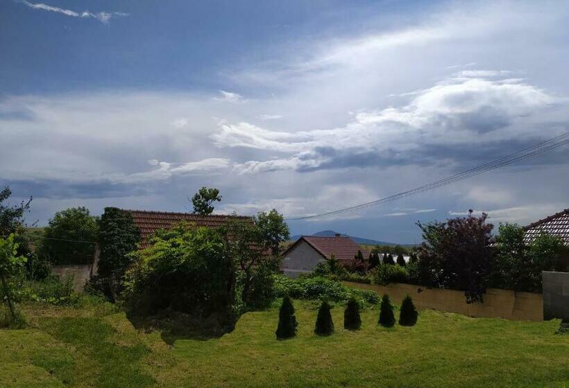 ペンション Penzion Levandule A Palava