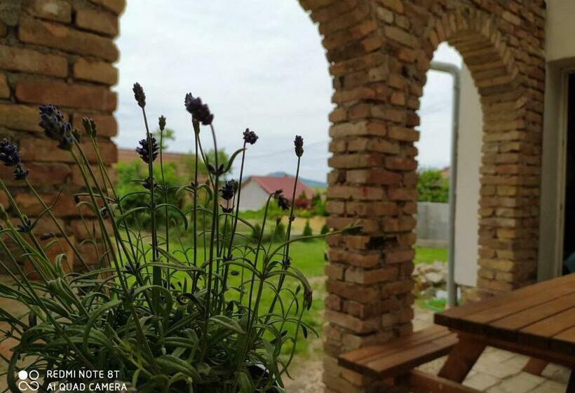 ペンション Penzion Levandule A Palava