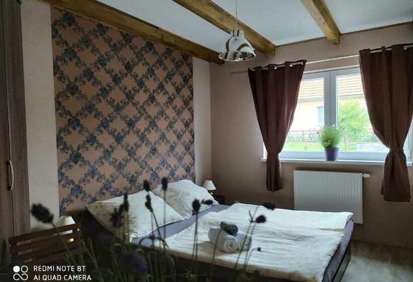 ペンション Penzion Levandule A Palava