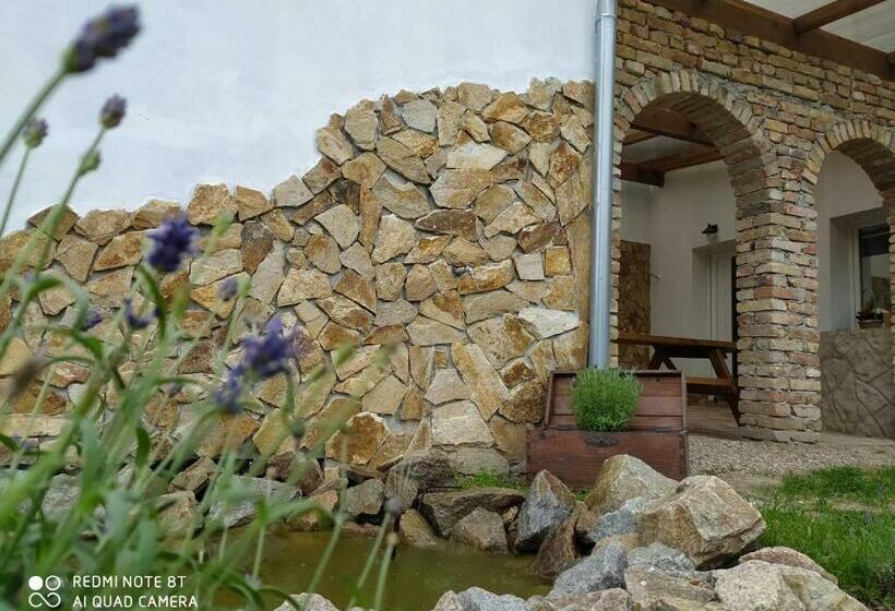 ペンション Penzion Levandule A Palava