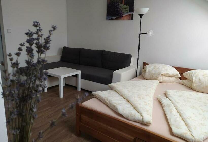 ペンション Penzion Levandule A Palava