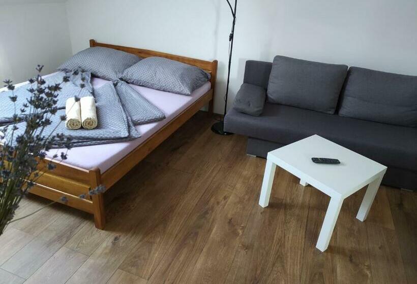 ペンション Penzion Levandule A Palava