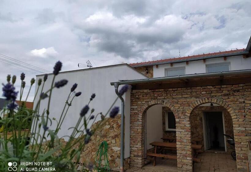 ペンション Penzion Levandule A Palava