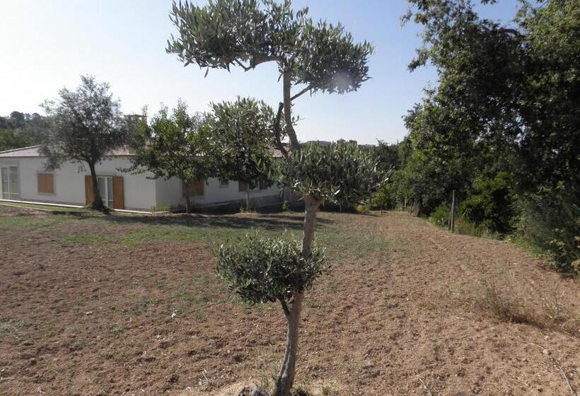 بنسيون Quinta Mata Da Sé