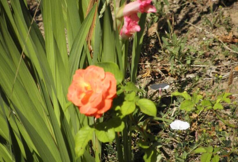 بنسيون Quinta Mata Da Sé