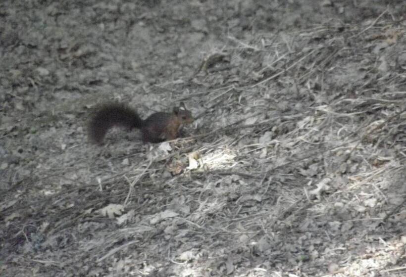 بنسيون Quinta Mata Da Sé