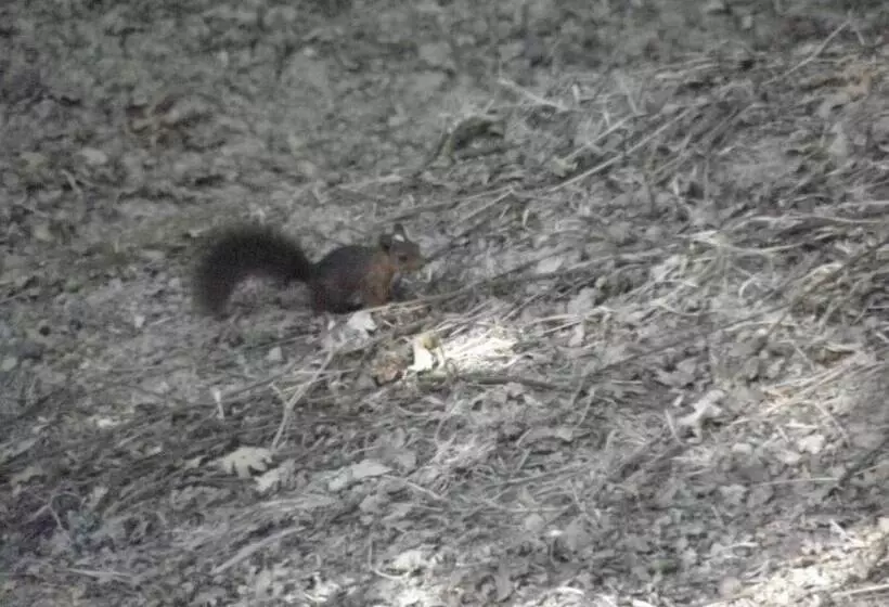 Majatalo Quinta Mata Da Sé