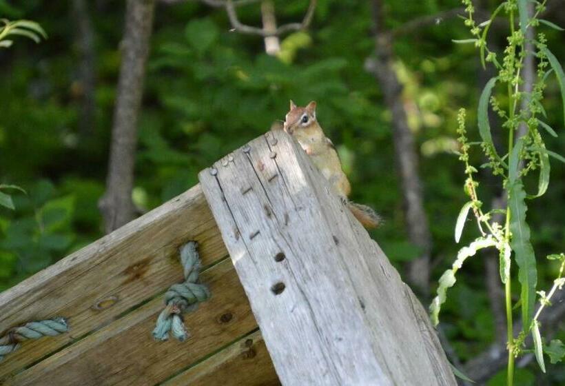 צימר Pinery Bijou Suite