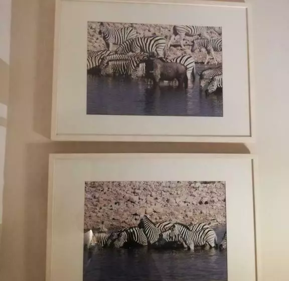 پانسیون Accademia Rooms