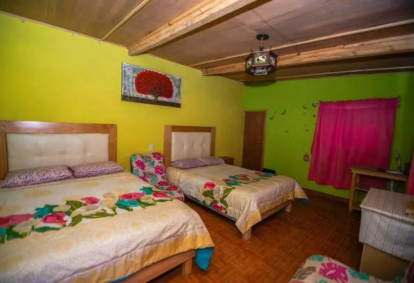 ペンション Cabañas Tipo Habitación  El Paraíso De Zacatlán