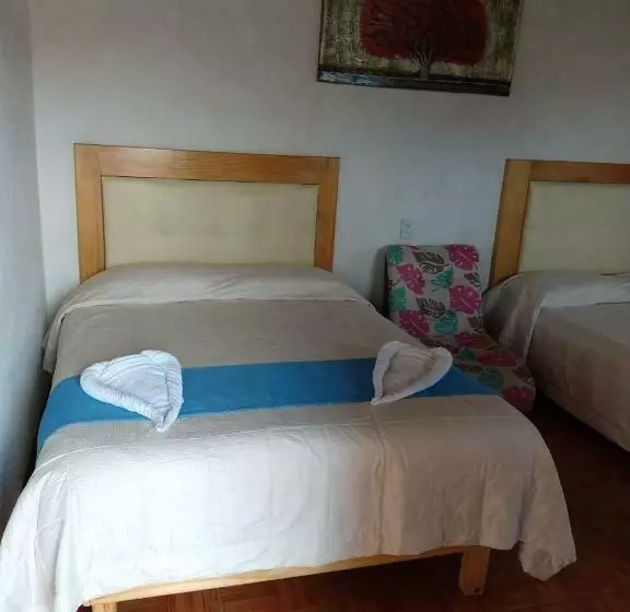 ペンション Cabañas Tipo Habitación  El Paraíso De Zacatlán