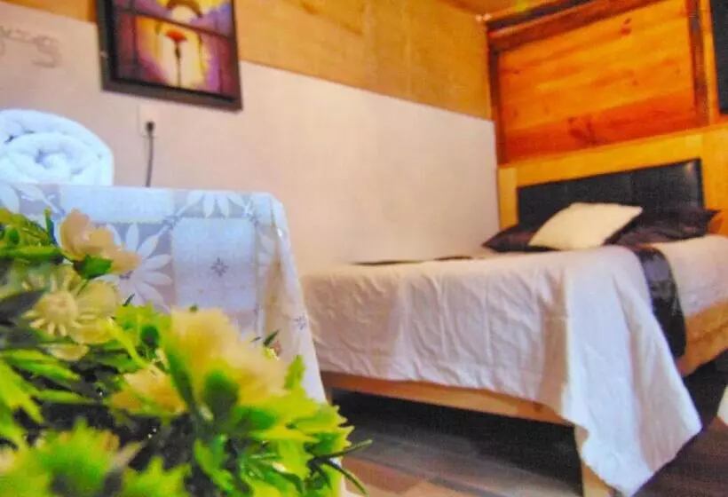 ペンション Cabañas Tipo Habitación  El Paraíso De Zacatlán