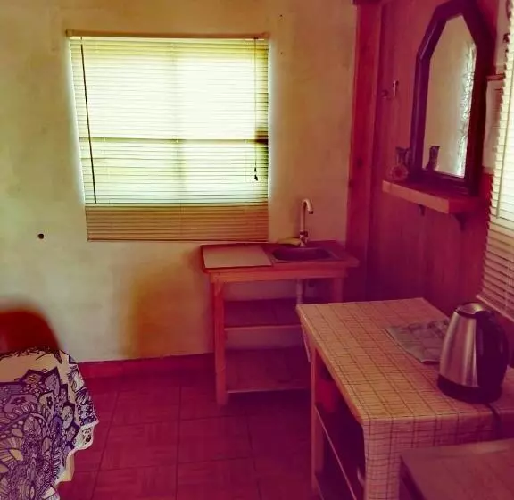 ペンション Cabañas Tipo Habitación  El Paraíso De Zacatlán