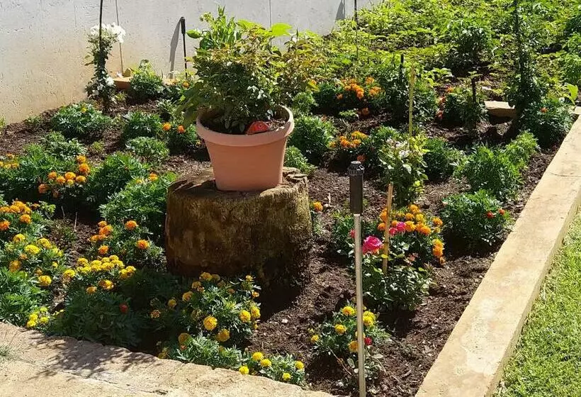 پانسیون Lpm Guests