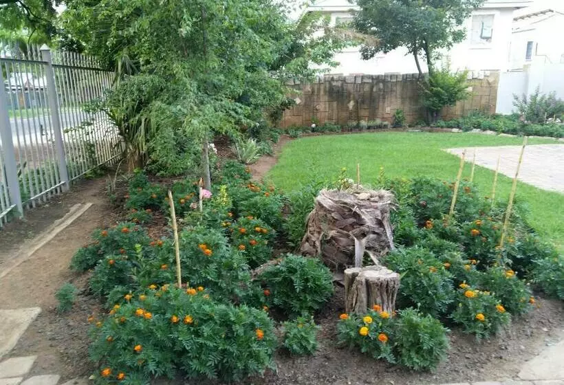 پانسیون Lpm Guests