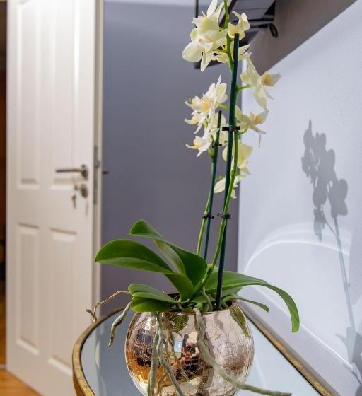 Pensão Weingut Gerd Müllers