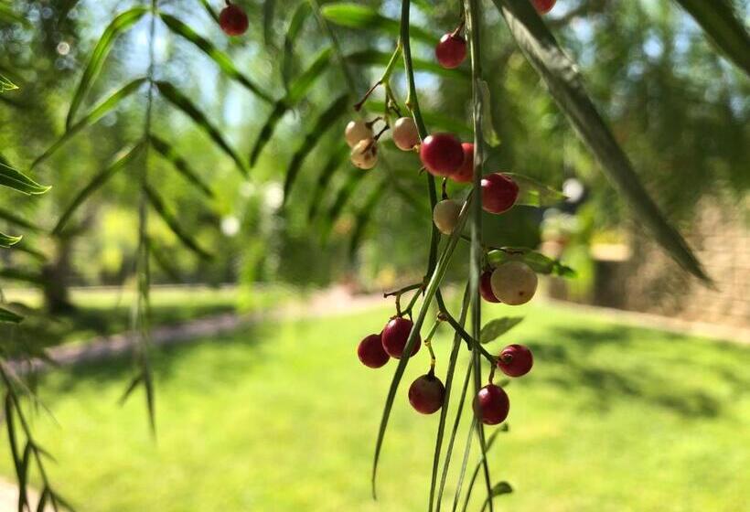 Peperosa In Collina B&b