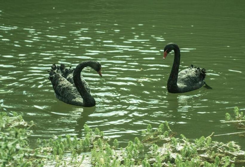 צימר Château De Valette
