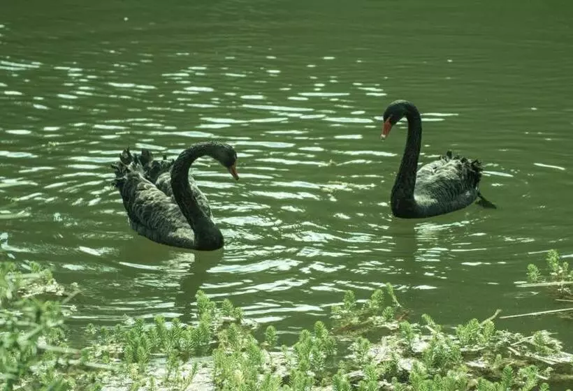 ベッドアンドブレックファースト Château De Valette