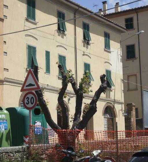 ペンション Affitta Camere Vianova