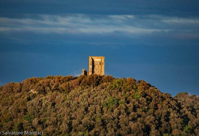 ペンション Affitta Camere Vianova