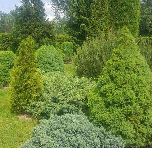 پانسیون Penzion U Elišky