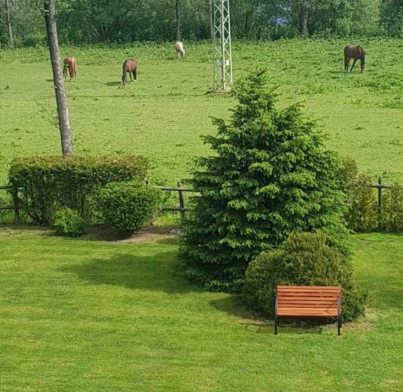 پانسیون Penzion U Elišky