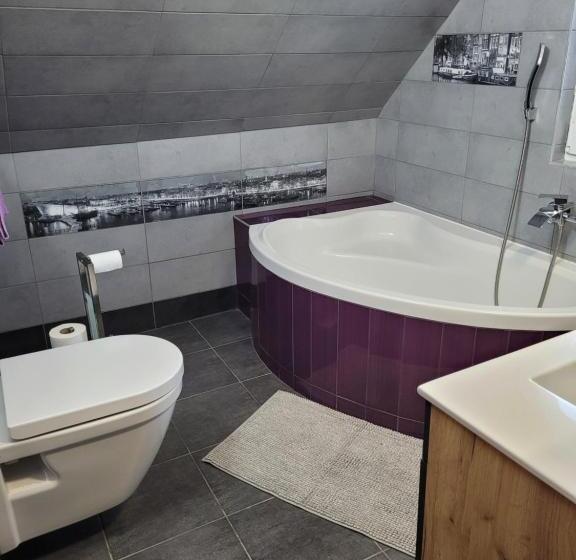 پانسیون Penzion U Elišky