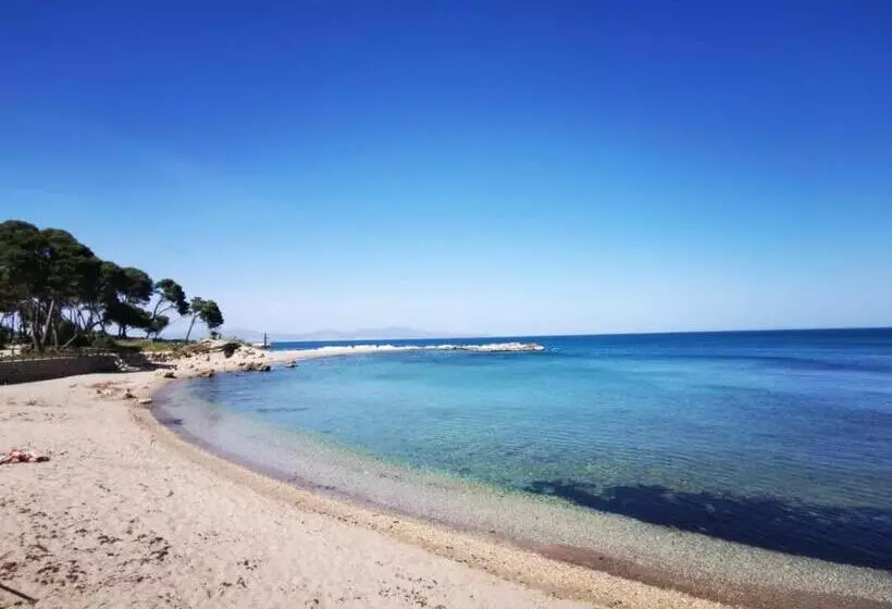 Majatalo Villa Valerie Bio & Zen