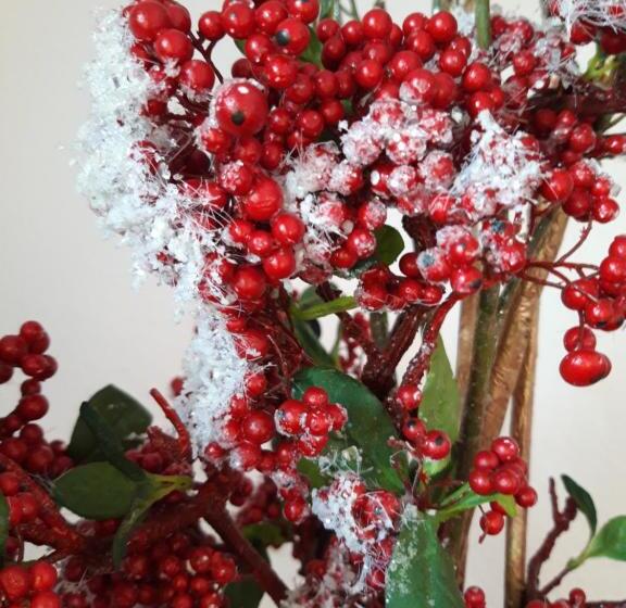 پانسیون Villa Valerie Bio & Zen