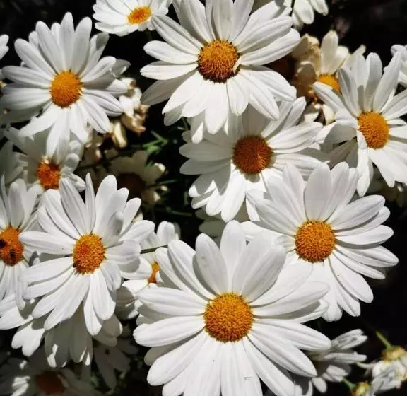 Majatalo Villa Valerie Bio & Zen