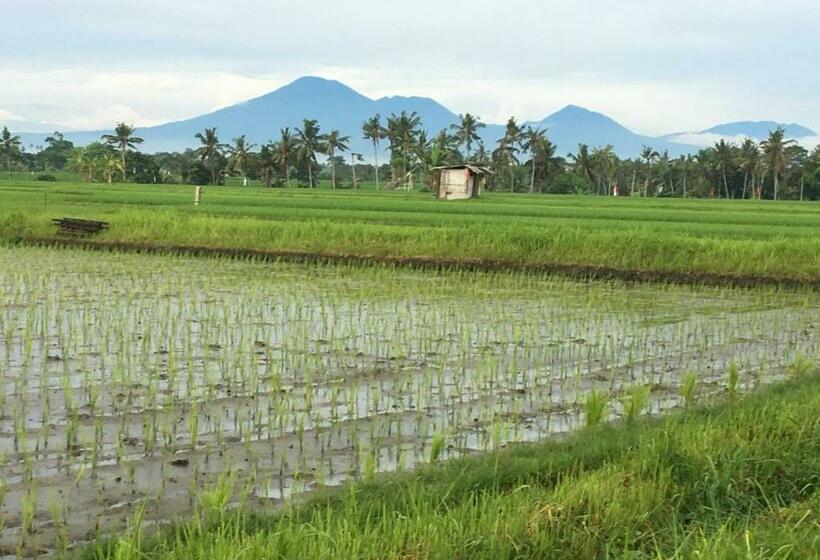 Bali Harmony Retreat