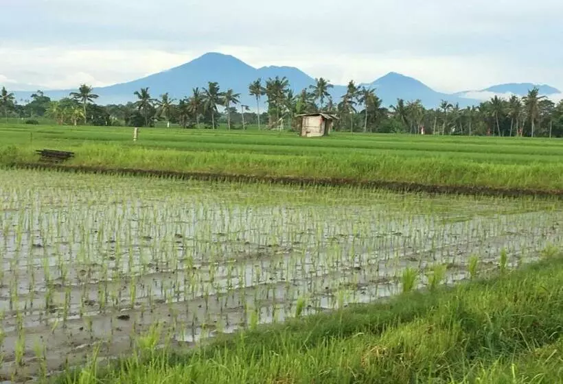 Bali Harmony Retreat