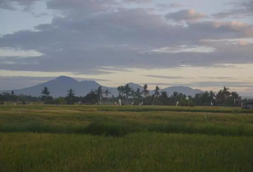 Bali Harmony Retreat